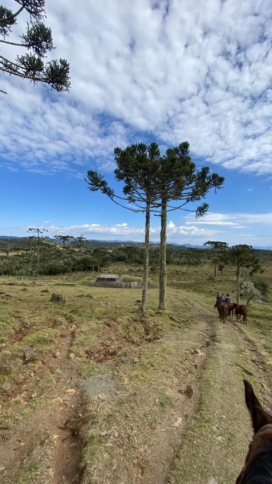 Vale Tancon Eco Village Urubici Exterior photo